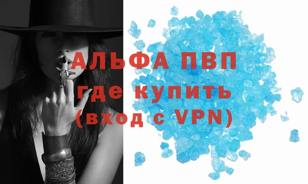 трава Балахна